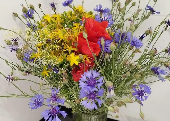 24h Self Check-in Lotnisko Blisko Stadion Targi Szpitale I Uczelnie Apartment *